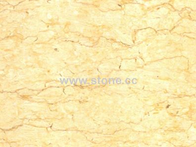 Sunny Yellow Sunny Yellow