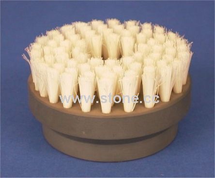 Disc Brush Disc Brush