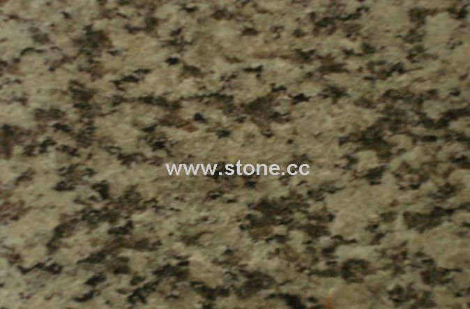 New Floor Tile