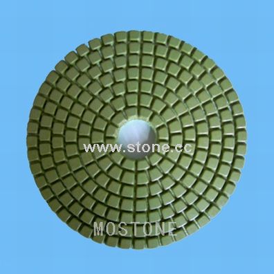 Diamond Polishing Pad (MS01) Diamond Polishing Pad (MS01)