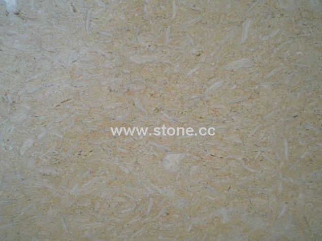 Beige1(XS-MB011SAMMA)