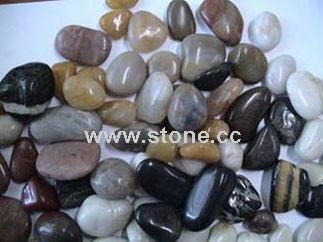 Pebble/Cobble Stone/Paving Stone Pebble/Cobble Stone/Paving Stone