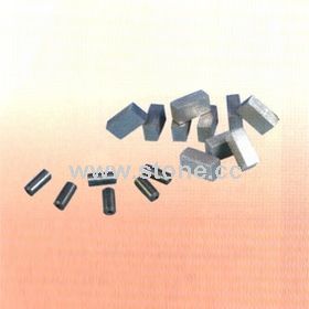 Diamond Segment