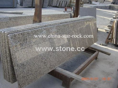 SRG013 New Sort Countertop