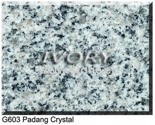 Granite Slabs (G603) Granite Slabs (G603)