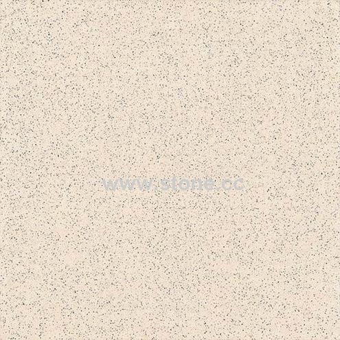 Polished Tile (Salt & Pepper Series -3) Polished Tile (Salt & Pepper Series -3)