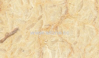 Import Granit -Slevia Belige