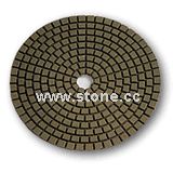 Diamond Polishing Pad