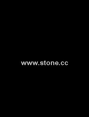Slab--Shanxi Black