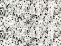 Granite Slabs (TS014)