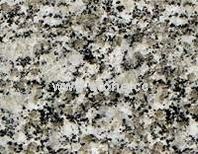 Granite - G038 Flower Galaxy