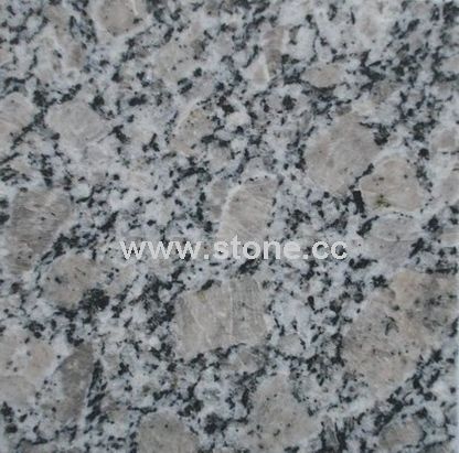 Tile (G383)