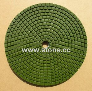 Polishing Pads (NO3)