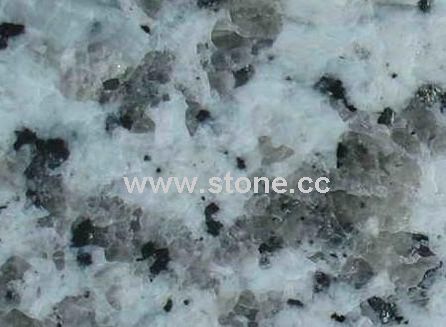 White Big Flower of Puning