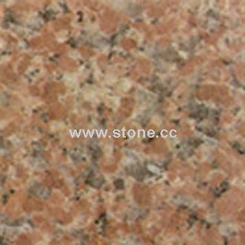 Tile Tile