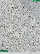 Sesame White Laizhou (G3765)