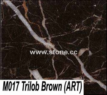 Marble-Trilob Brown (M017)