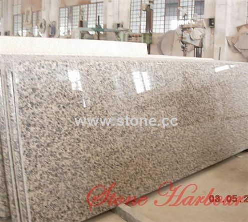 Counter Top (Puma Skin) Counter Top (Puma Skin)