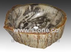 Fossil Wood Sinks
