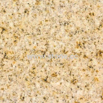Granite Tiles (ST-001) Granite Tiles (ST-001)