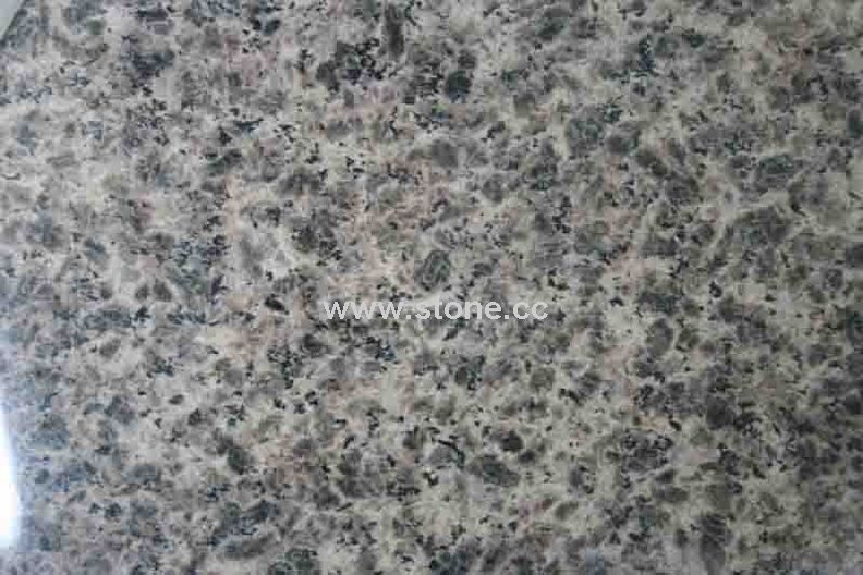 Granite -Leopard Skin Granite -Leopard Skin
