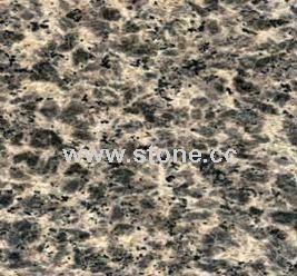 Granite & Marble Slate (Leopard Skin Flower) Granite & Marble Slate (Leopard Skin Flower)
