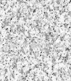Sesame White Granite