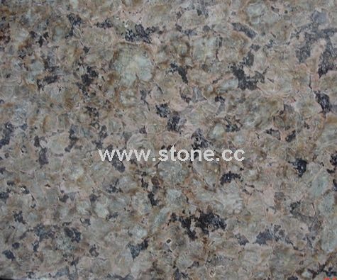 China Tropical brown (Tile/ Slab/ Wall Tile/ Floor Tile) China Tropical brown (Tile/ Slab/ Wall Tile/ Floor Tile)