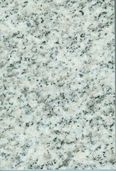 White Pearl Slab White Pearl Slab