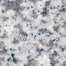 Granite Tongan White G655