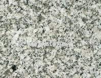 Granite - G015 Perla Bianco
