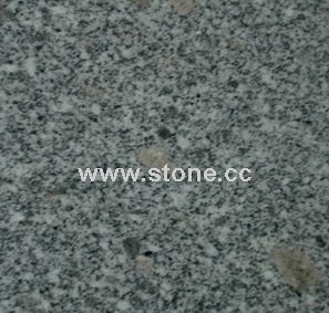 Polished Slab (G341)