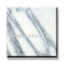 Polished Tile -Arabescato Polished Tile -Arabescato
