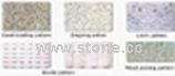 Paving Stone Paving Stone