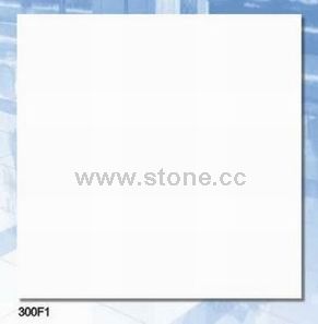 Marble Tile (300F1)