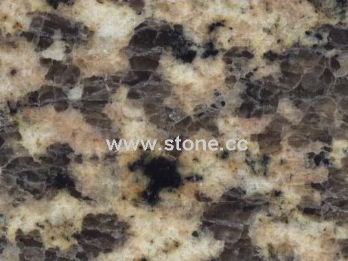 Granite - Tiger Skin Yellow/Red/Rust/White Granite - Tiger Skin Yellow/Red/Rust/White