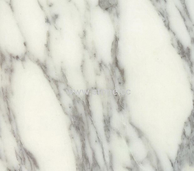 Marble (Arabescato Corchia) Marble (Arabescato Corchia)