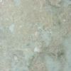 golden flower beige