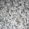 Big white flower granite (G439)