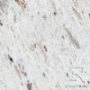 white galaxy granite