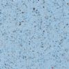 quartz-004