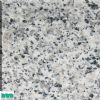 Oriental White granite slab
