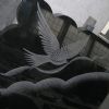 Shadow Carving