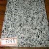 Granite G603