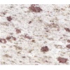 White Galaxy Granite