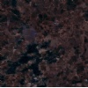 Labrador Antique