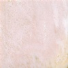 Rosa Ami