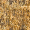 Golden Persa