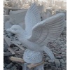 RR-Peace pigeon