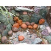 Garden Design-Pebble Stone